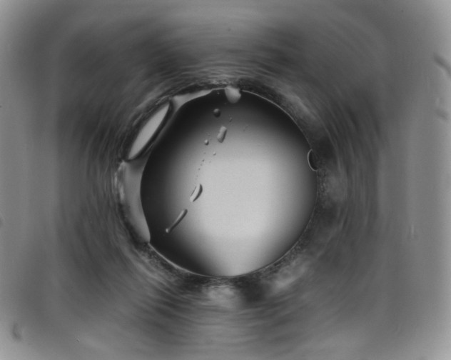 X0000098220262200804241351