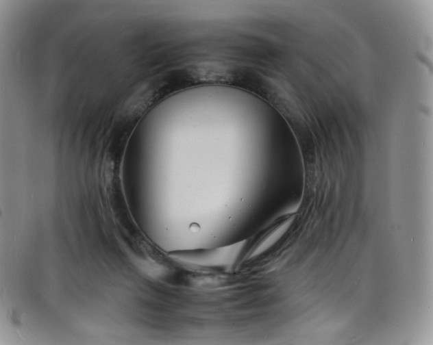 X0000098220263200804241351