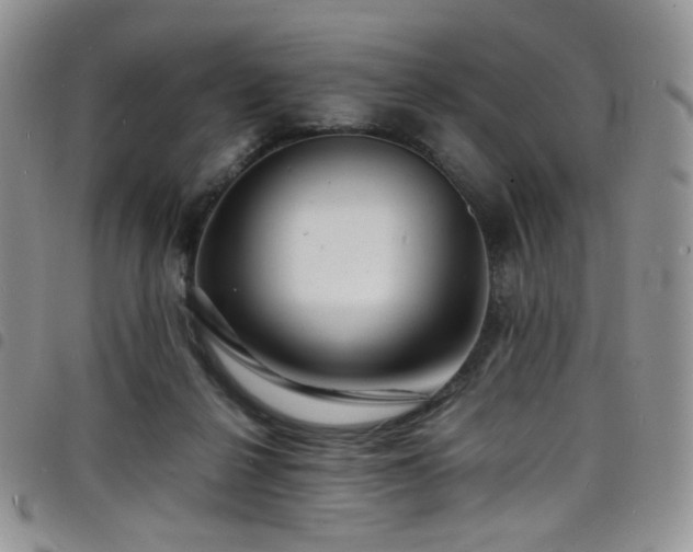 X0000098220264200804241351
