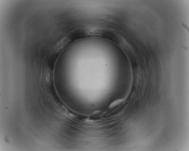 X0000098220266200804241351