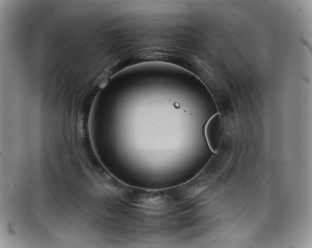 X0000098220267200804241351