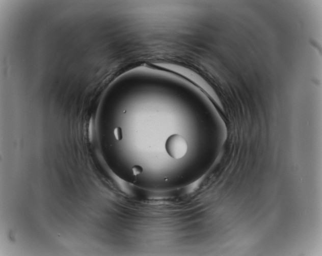 X0000098220268200804241351