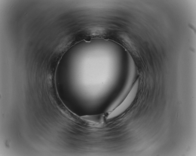 X0000098220269200804241351