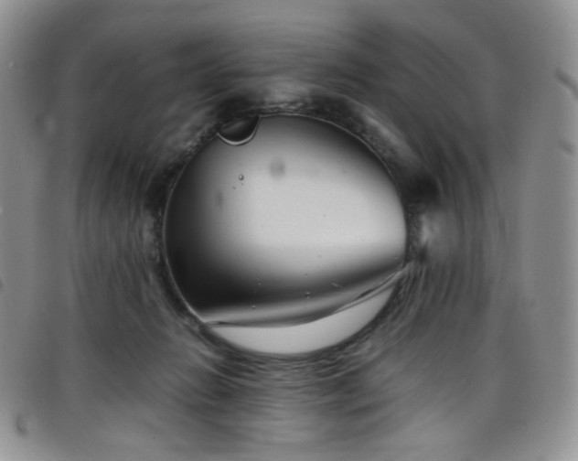 X0000098220270200804241351