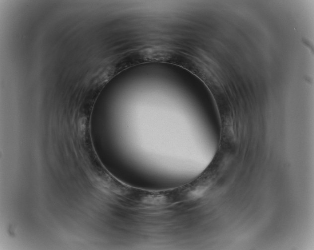 X0000098220271200804241351
