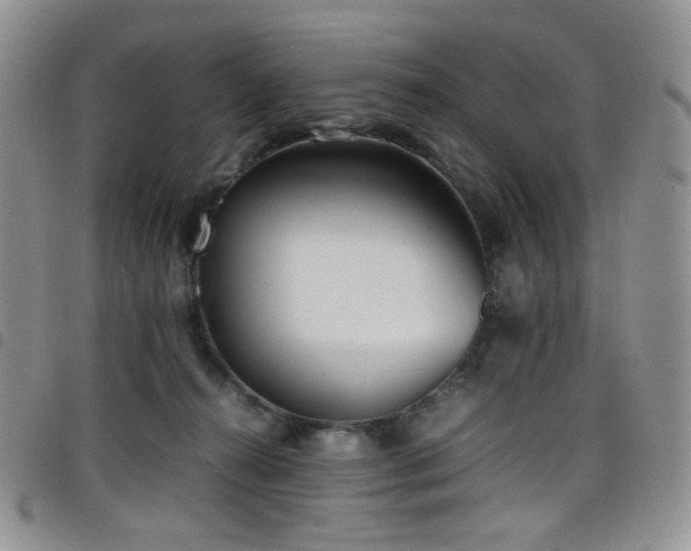 X0000098220272200804241351