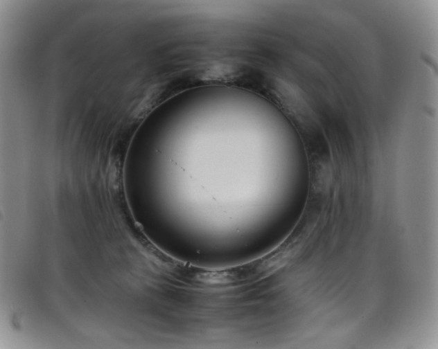 X0000098220273200804241351
