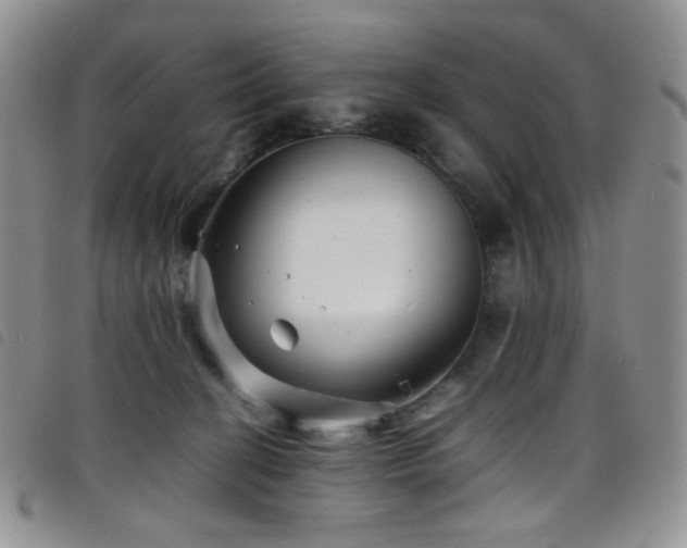 X0000098220274200804241351