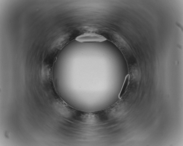 X0000098220276200804241351