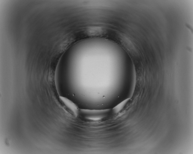 X0000098220277200804241351