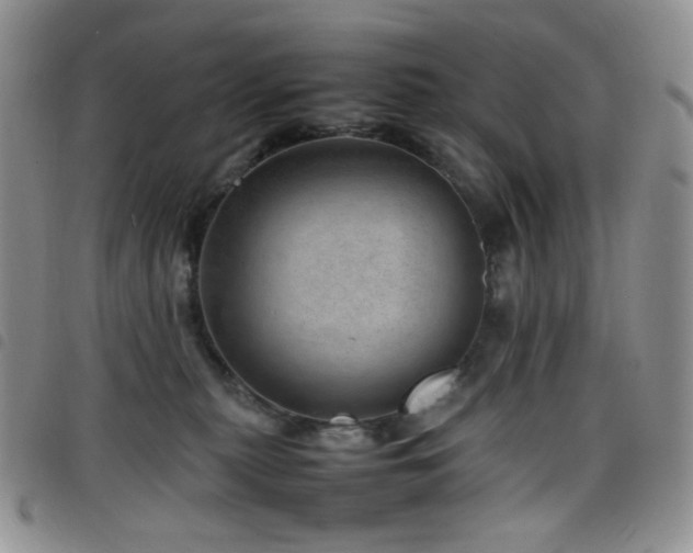 X0000098220279200804241351