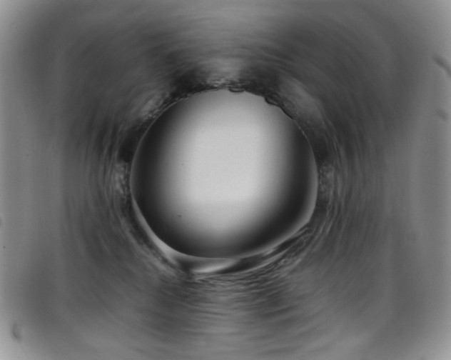 X0000098220280200804241351