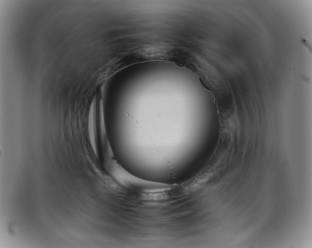 X0000098220281200804241351