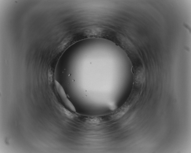 X0000098220282200804241351