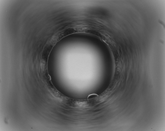 X0000098220283200804241351
