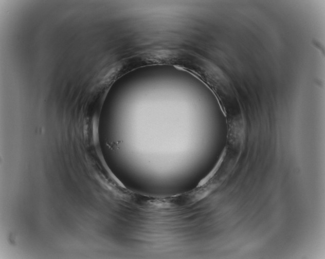X0000098220284200804241351