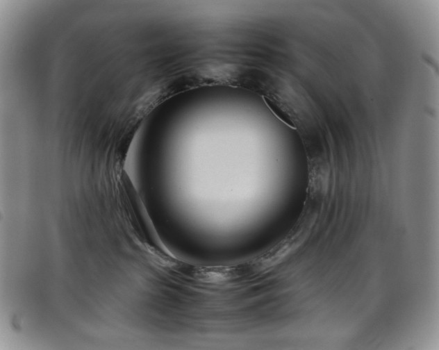 X0000098220285200804241351
