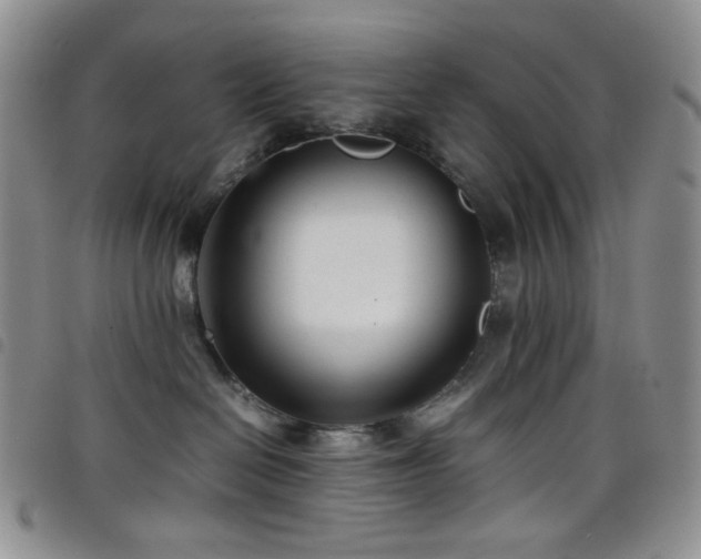 X0000098220286200804241351