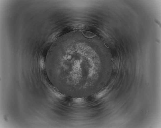 X0000098220287200804241351