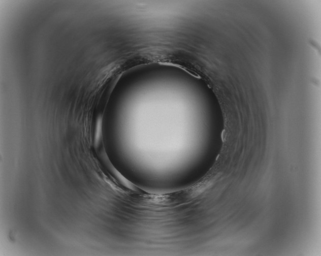X0000098220288200804241351