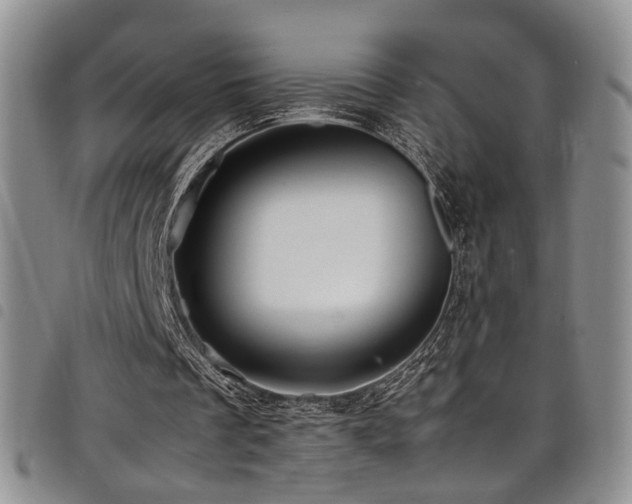 X0000098220289200804241350