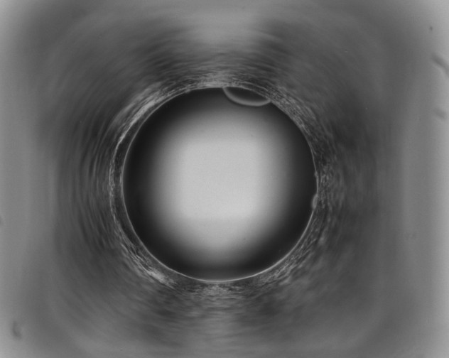 X0000098220290200804241350