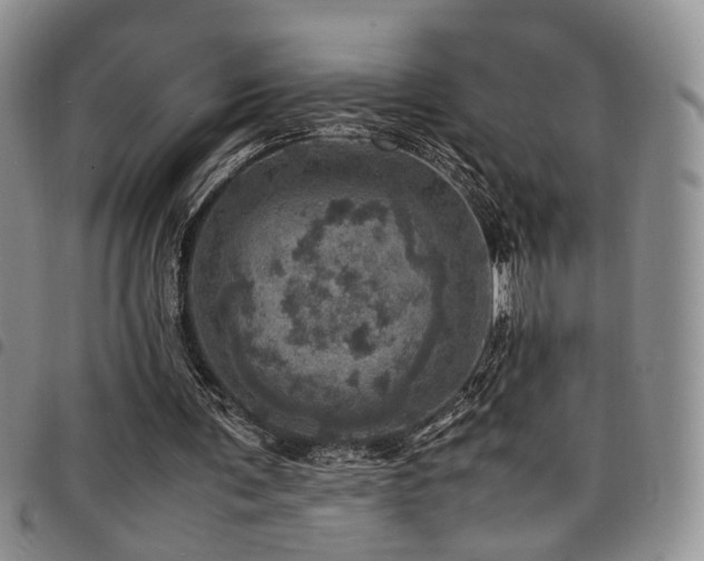 X0000098220291200804241350