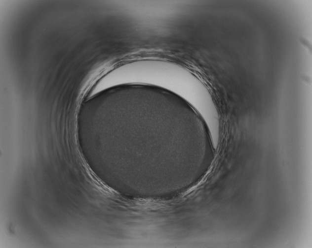 X0000098220293200804241350