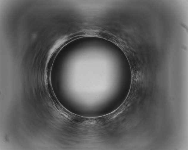 X0000098220294200804241350
