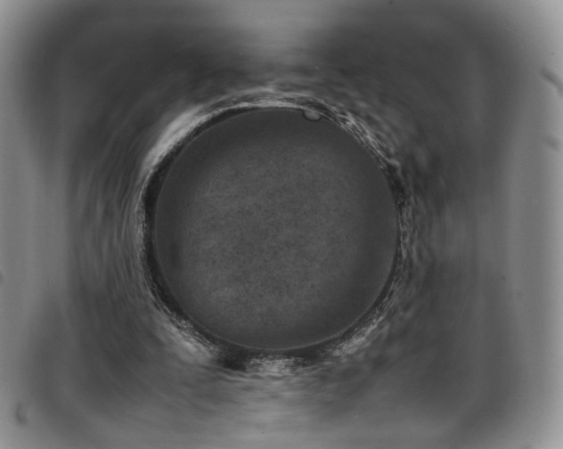 X0000098220295200804241350