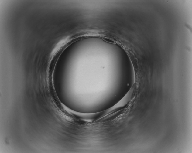 X0000098220296200804241350