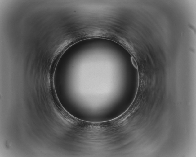 X0000098220298200804241350