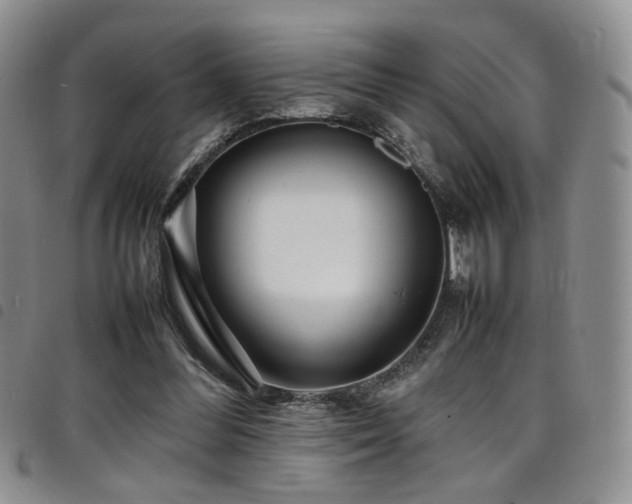 X0000098220300200804241350