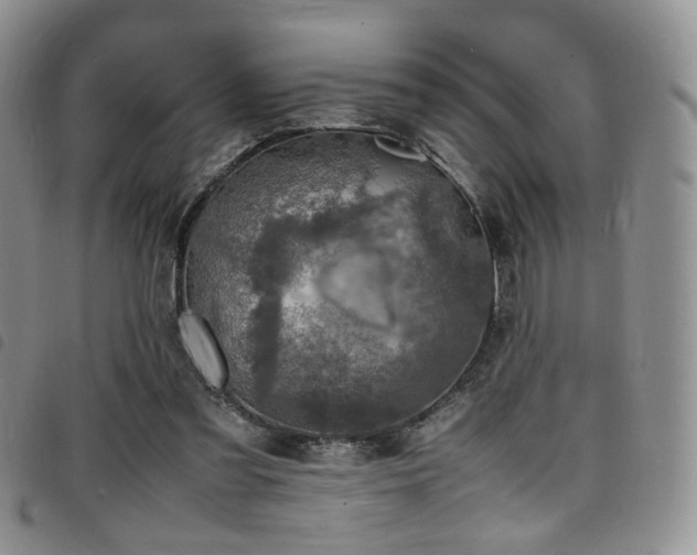 X0000098220301200804241350
