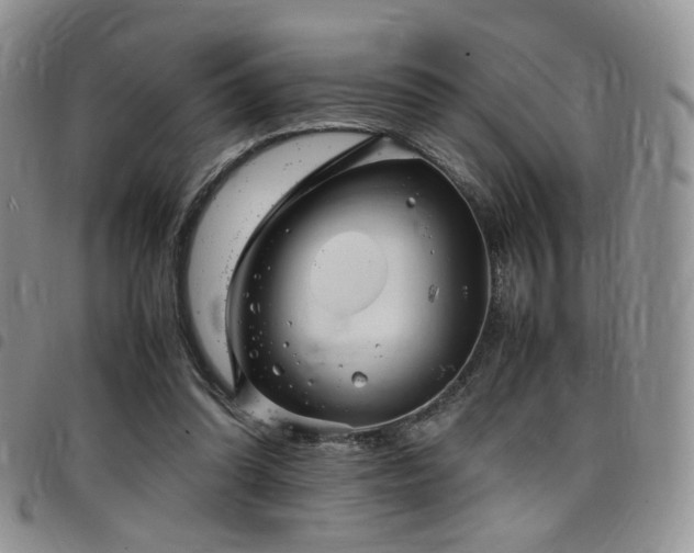 X0000098220302200804241350