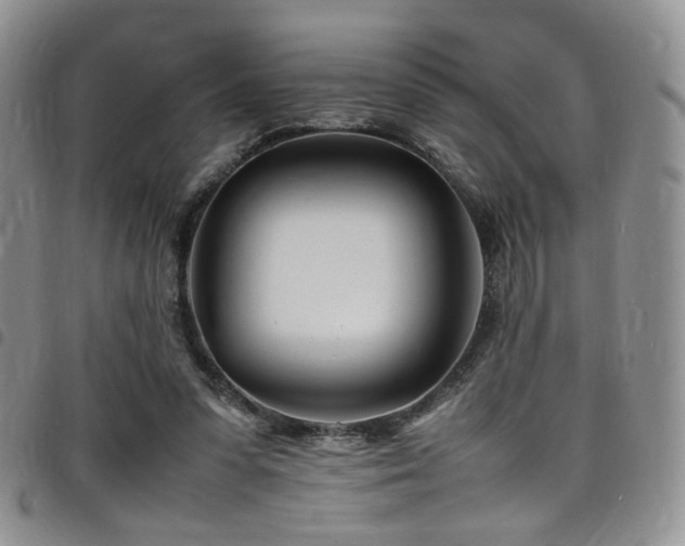 X0000098220303200804241350