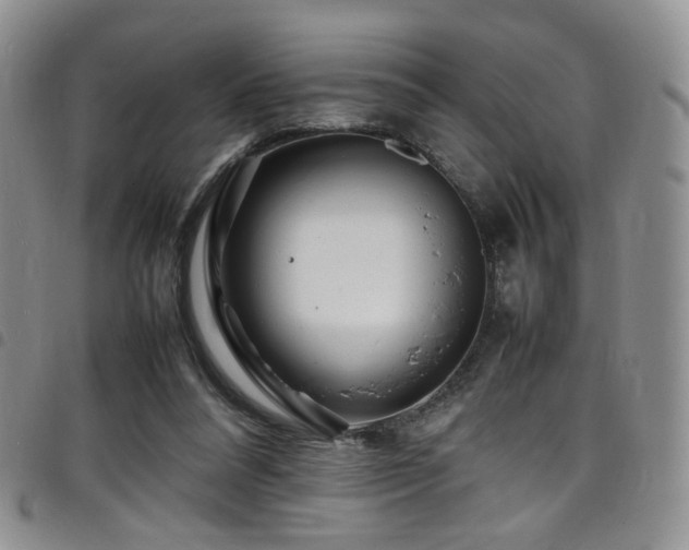 X0000098220304200804241350