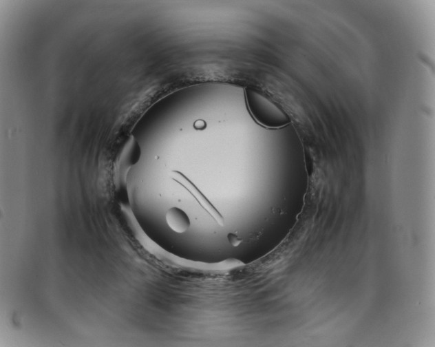 X0000098220306200804241350