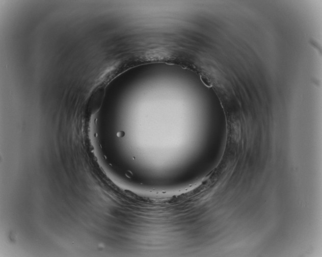 X0000098220308200804241350