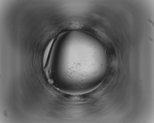 X0000098220315200804241350