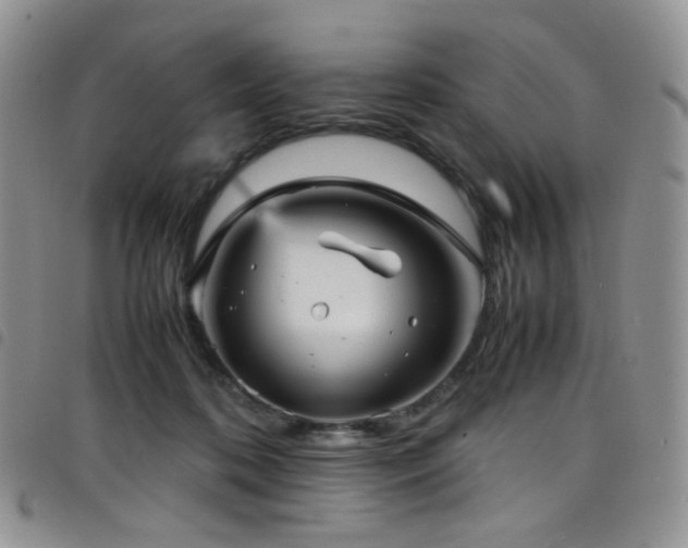 X0000098220316200804241350