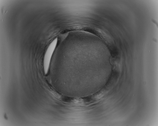 X0000098220317200804241350