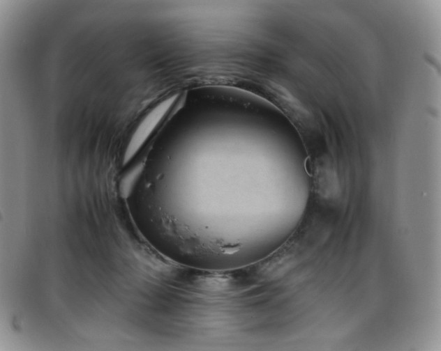 X0000098220318200804241350