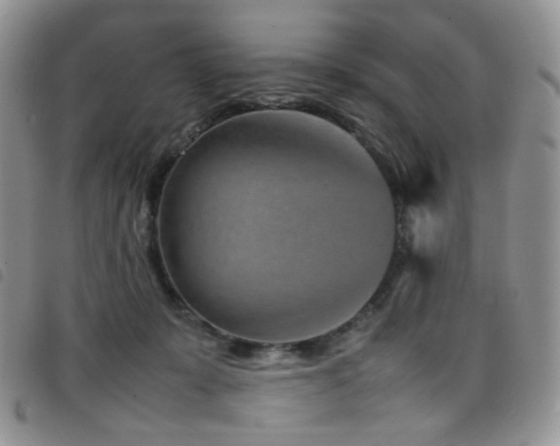 X0000098220319200804241350
