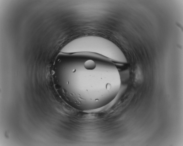 X0000098220320200804241350