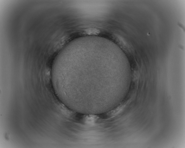 X0000098220321200804241350