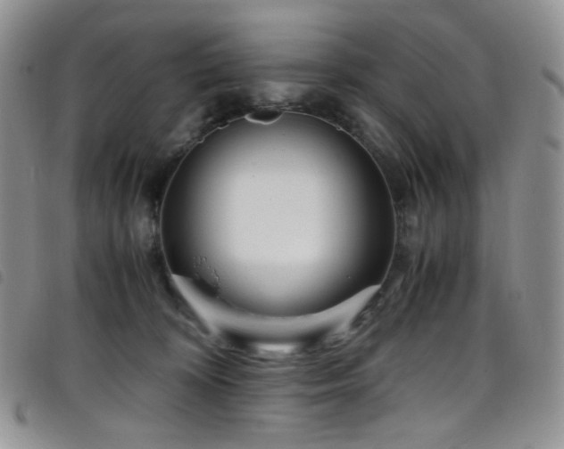 X0000098220324200804241350