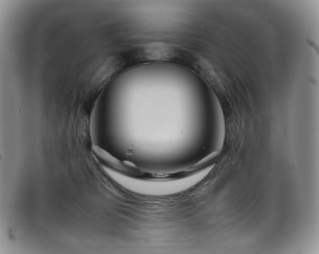 X0000098220325200804241350