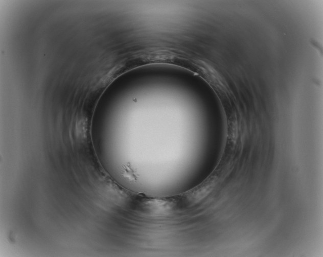 X0000098220326200804241350