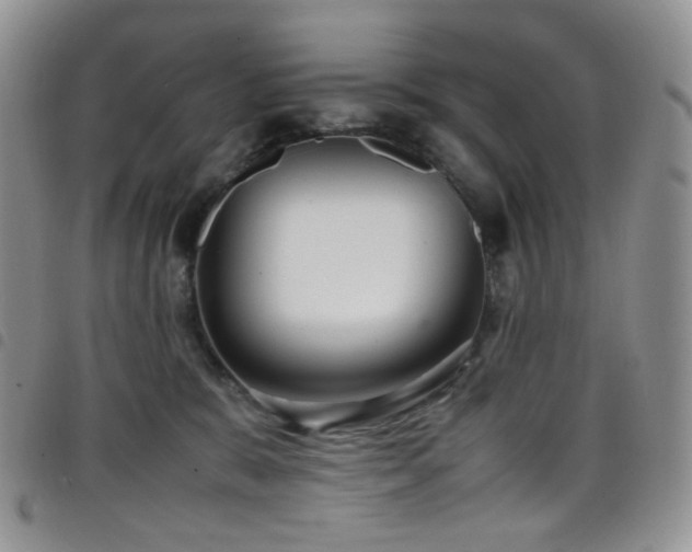 X0000098220327200804241350